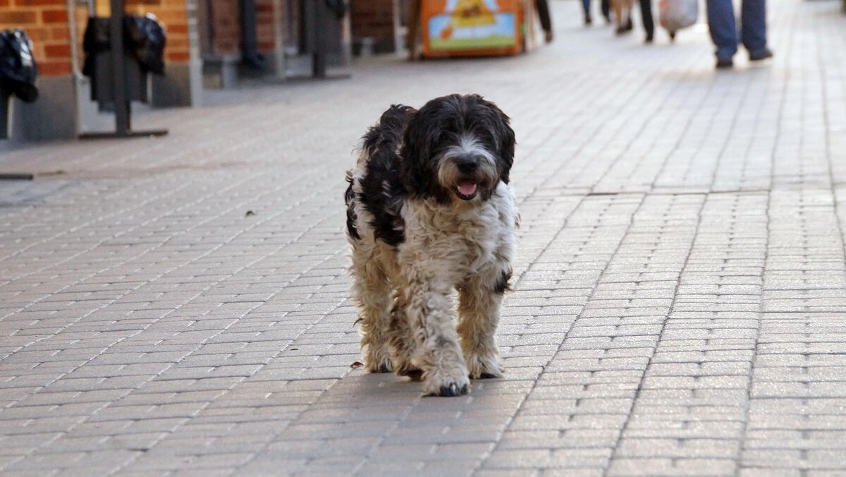    Фото: Сергей Егоров