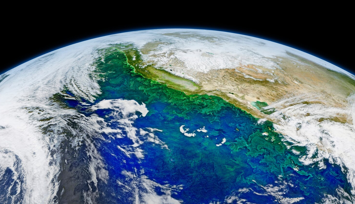 Изображение с сайта freepik.com