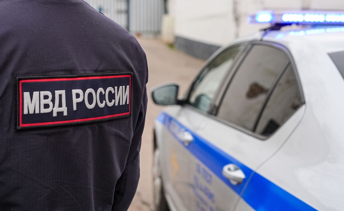    - / Источник: © ИЗВЕСТИЯ/Сергей Лантюхов