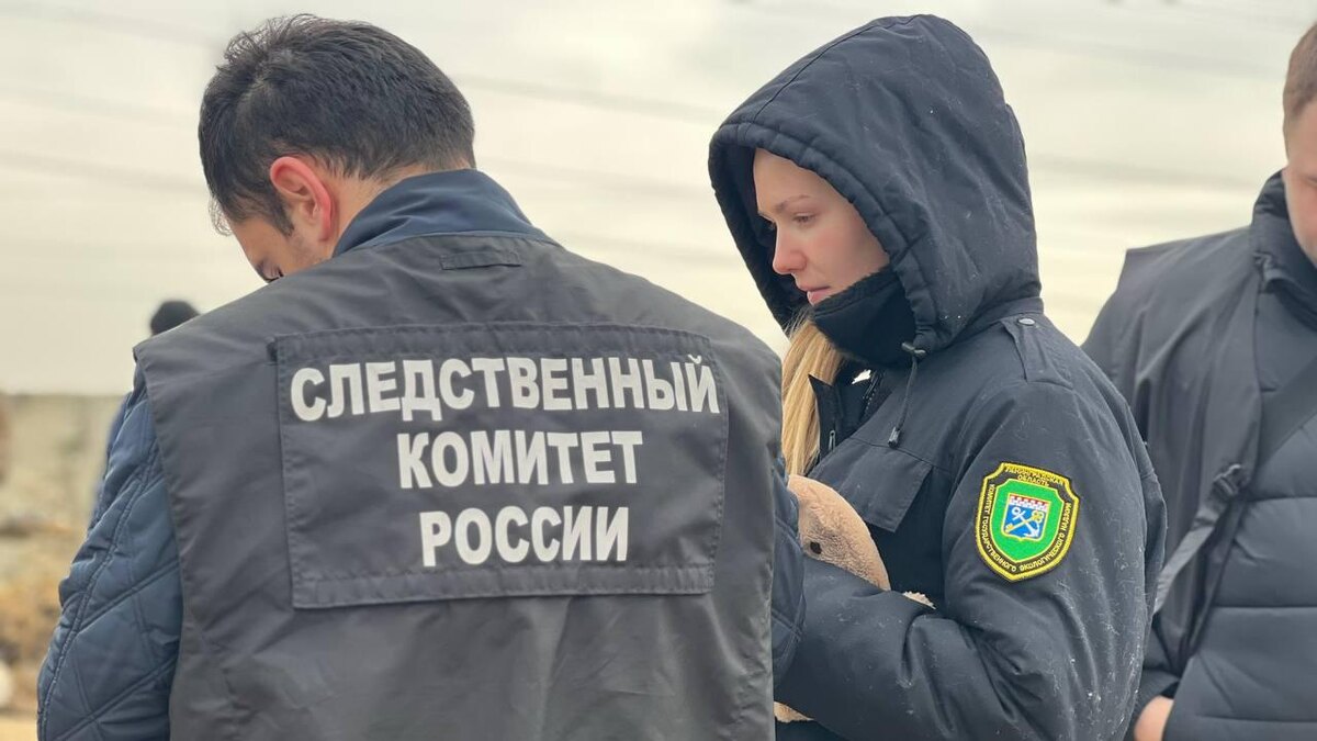    Фото: t.me/ecology47