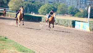 /  ФОТО официального сайта Ростовского ипподрома Администратор  📷

