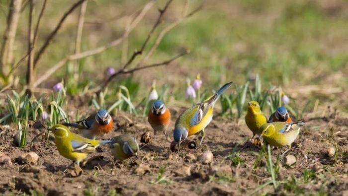 Обложка © GigaChat