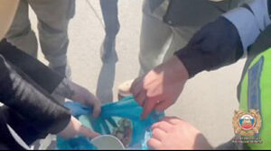 /  ФОТО: скрин видео из ТГ-канала «МВД 61» Администратор  📷
