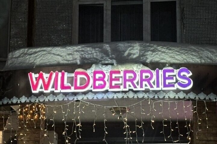 Тулякам озвучили самую дорогую покупку на Ozon в 2025 году