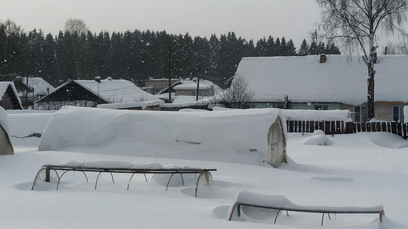    Фото: progorod43.ru