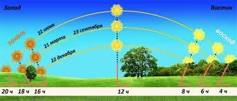 Разница в амплитуде солна в зависимости от времени года. Источник картинки: https://stav-geo.ru/