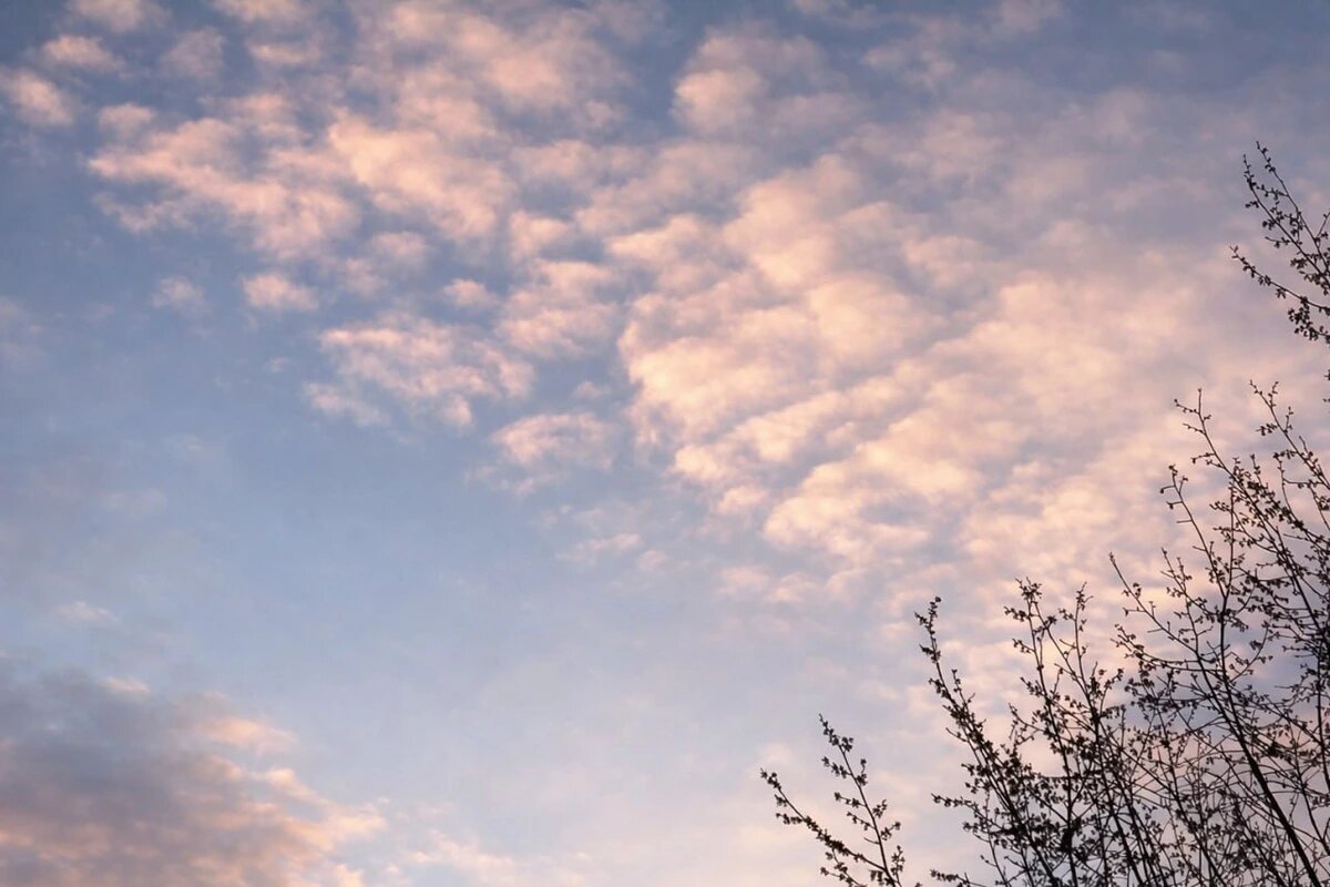    Фото «Кубань 24»