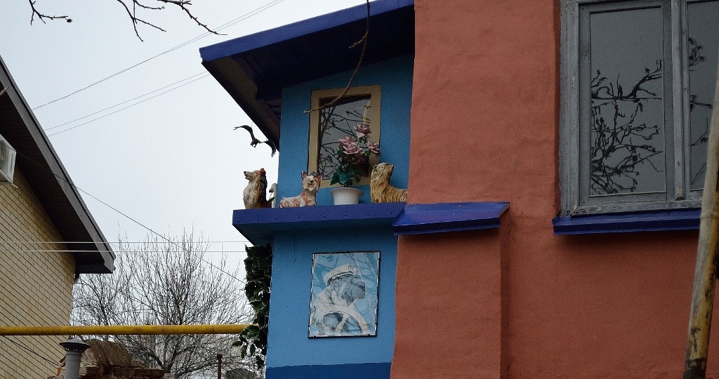 День оказался удивительно добрым...