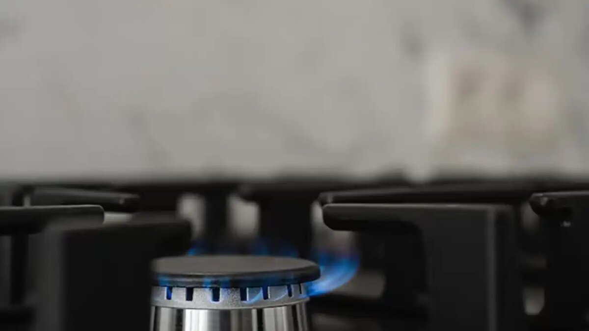    Газовая плита. © freepik.com/ededchechine