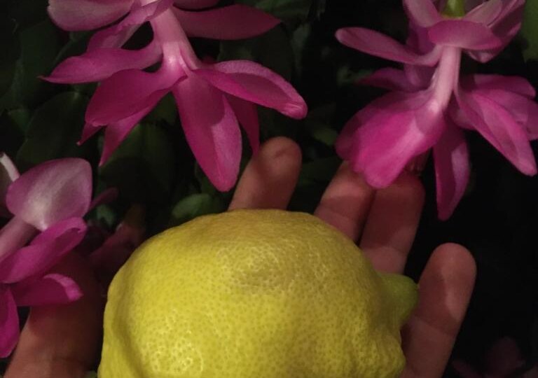 ПРИВЕТ, БОМЖИКИ Когда-то давно в КВН на 1-м канале прозвучала реплика: «Чувствую, что старею. Мимо пом оек стал проходить медленней».