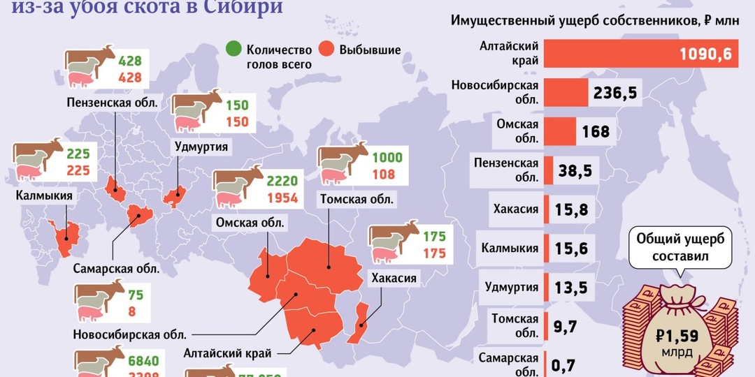 🐄 Прямой ущерб от массового убоя скота уже превысил 1,5 млрд рублей