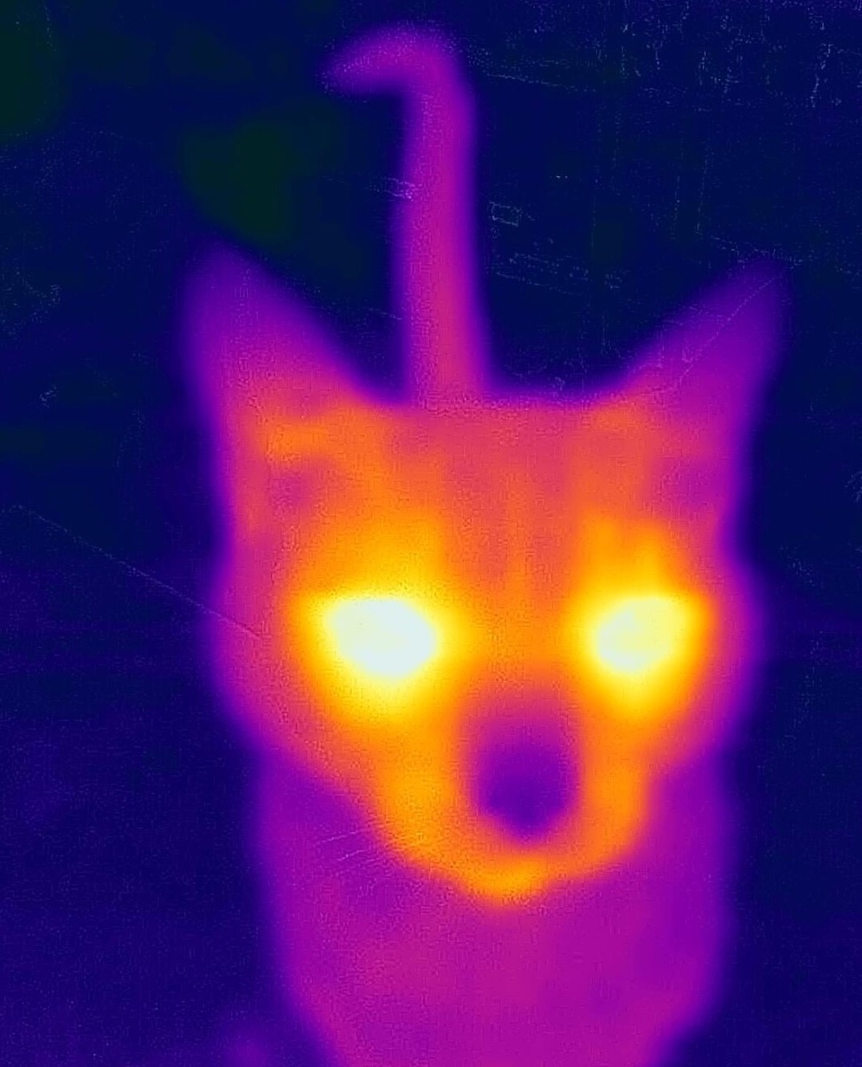 Источник: redd.it