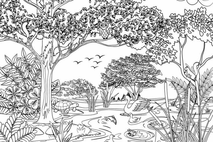 Изображение pinterest.com