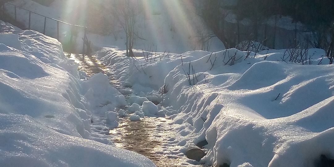 На крыльях весны.