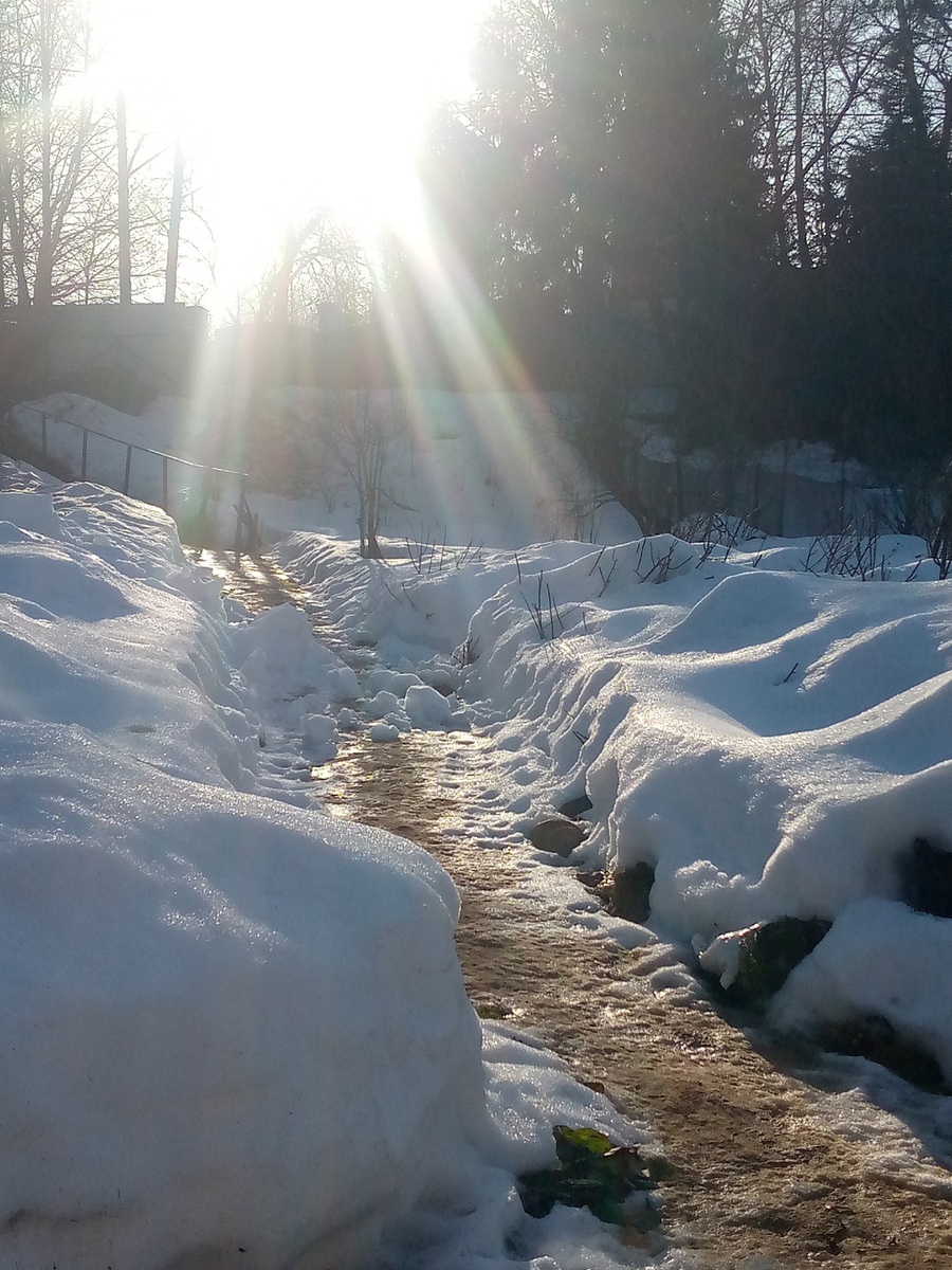 Весна, все активно тает