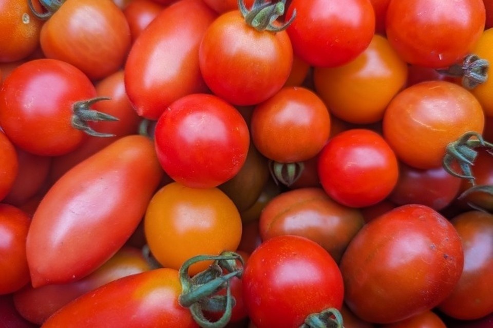   Даниил ОПАРИН