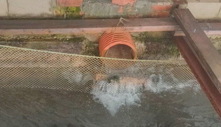    Фото: Россельхознадзор РФ