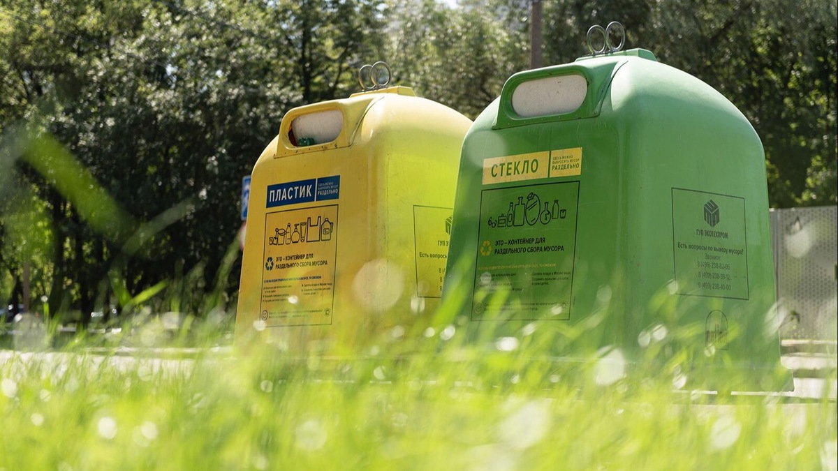    Источник: mos.ru