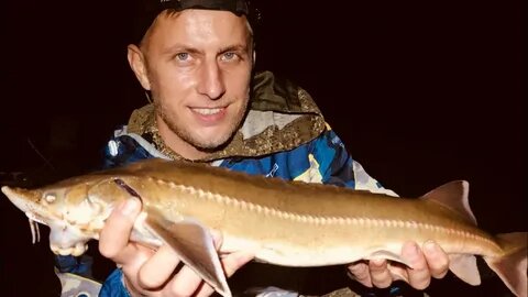 Стерлядь в апреле: Царская охота на струе. Как найти, на что ловить и как не уехать с водоёма в наручниках?