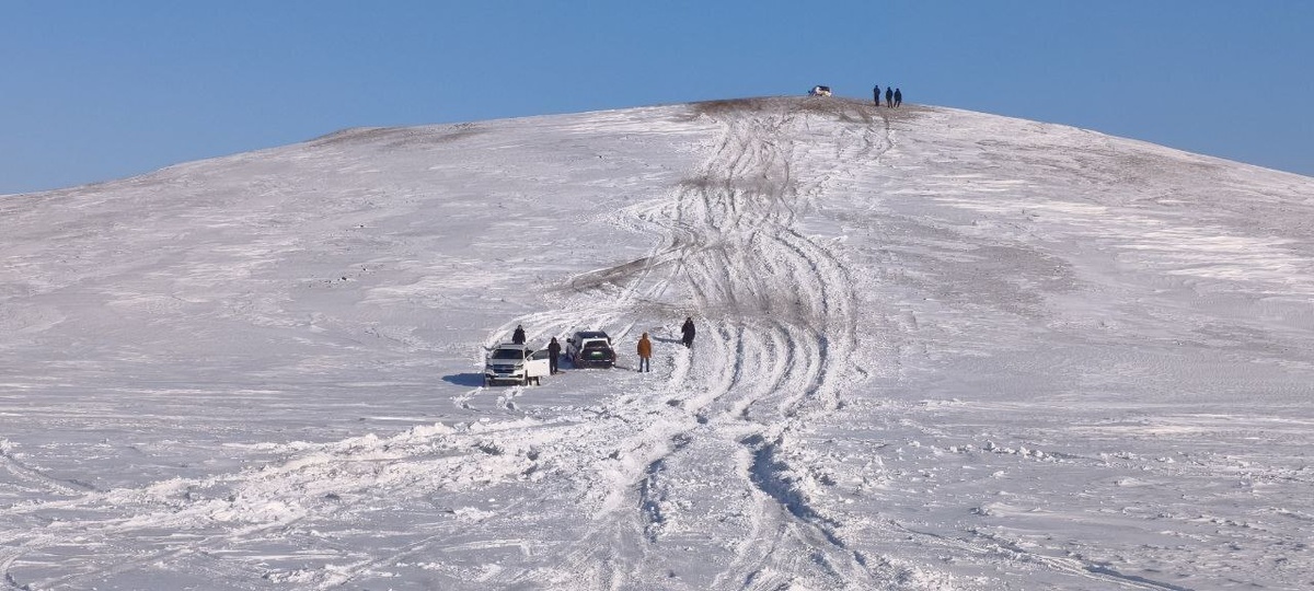    Rox Adamas   
Rox Motor