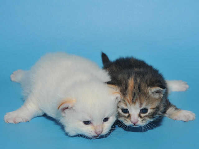 фото от 08.10.2017