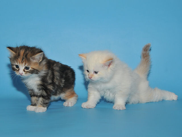 фото от 22.10.2017