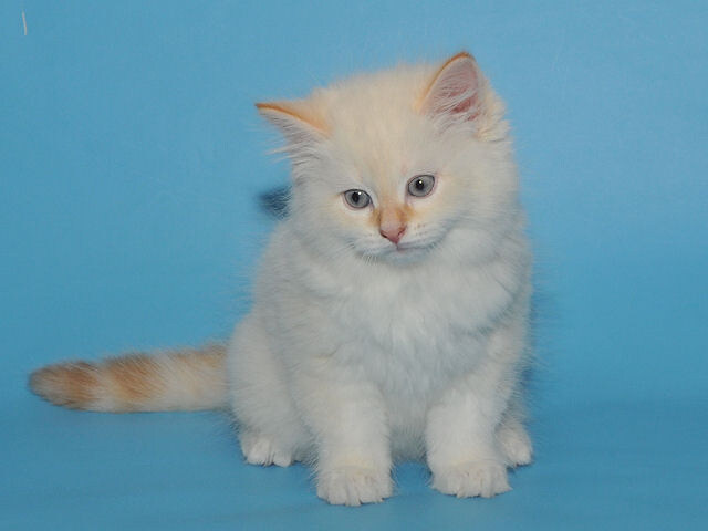 фото от 12.11.2017