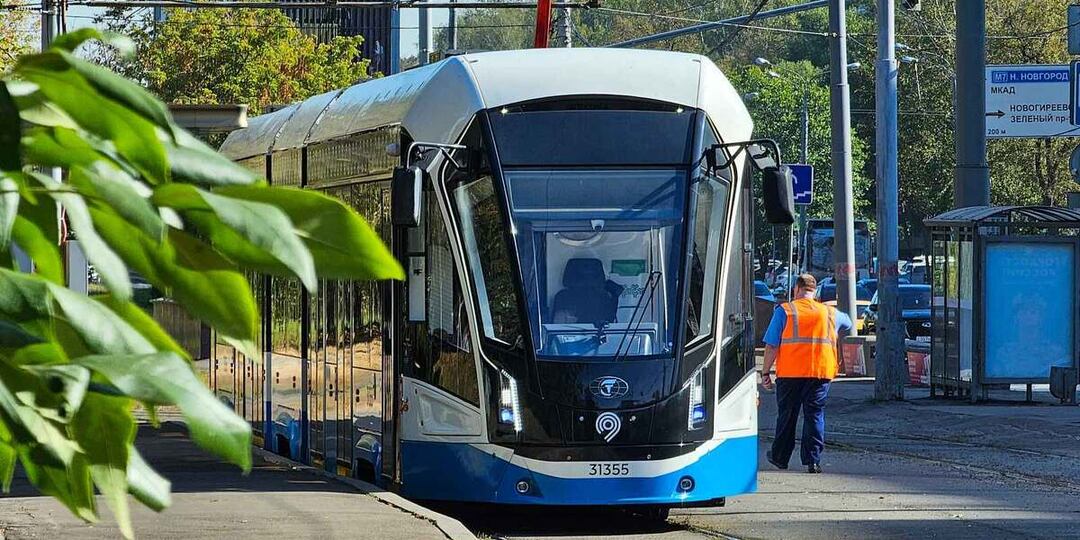 Трамвайный маршрут в Ивановское унесёт с собой 4281 дерево и 3887 кустарников