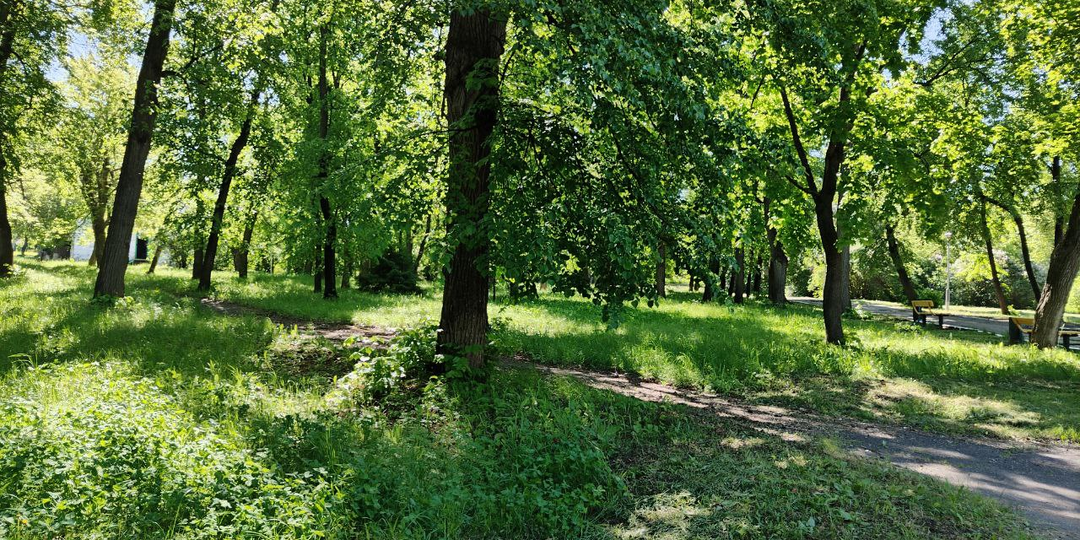 Отличница всегда и везде. Глава 17.