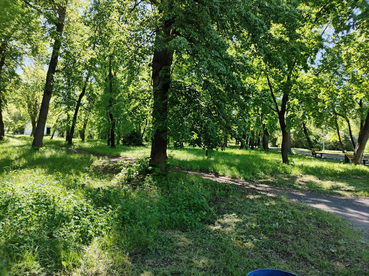 Фото автора.