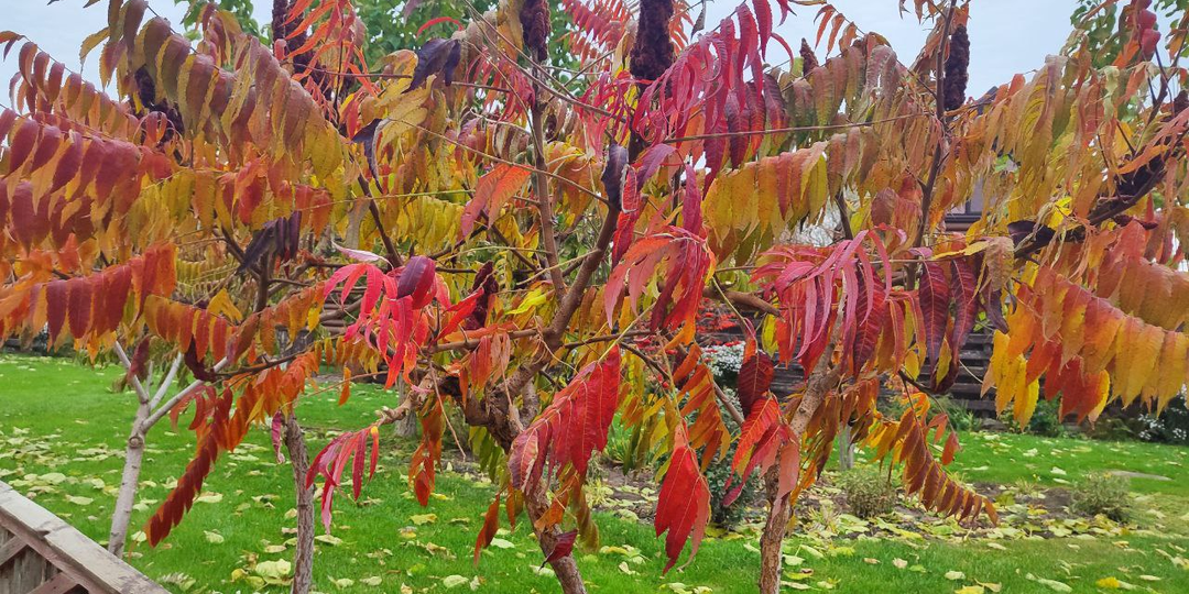 Отличница всегда и везде. Глава 18.