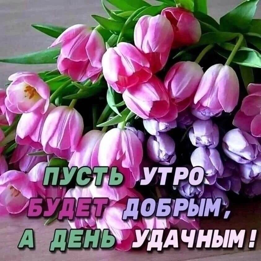 Фото из свободного доступа интернета