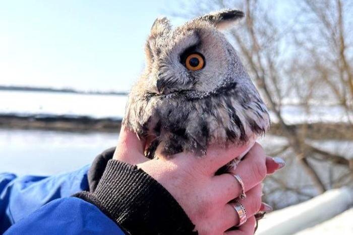 Обложка © VK/ АНО Водолазная группа «ДобротворецЪ»