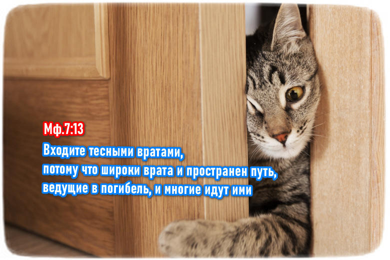 Входите тесными путями