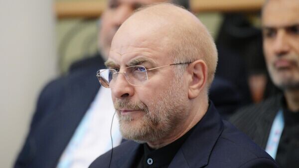    © Фото : Фотохост-агентство brics-russia2024.ru