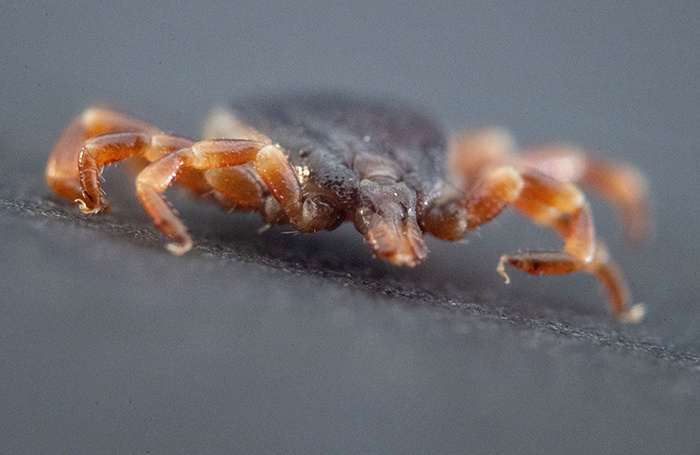    Marijan Murat/dpa/picture-alliance/TASS