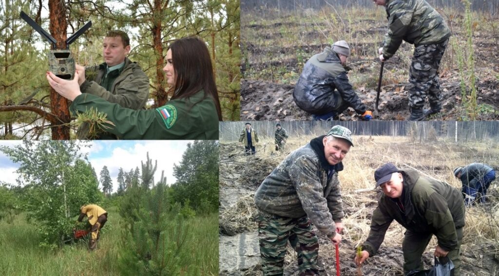 Коллаж из сети интернет