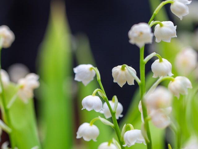    Фото: портал мэра и правительства Москвы/Дарья Мясина