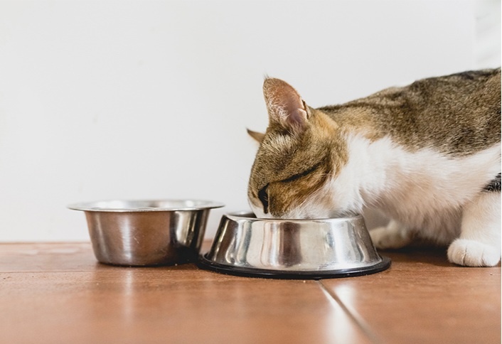 Фото из Интернета. 