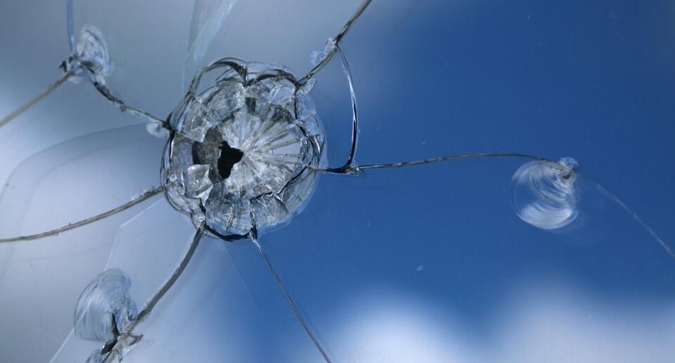    Nikolay Gyngazov/Global Look Press / www.globallookpress.com