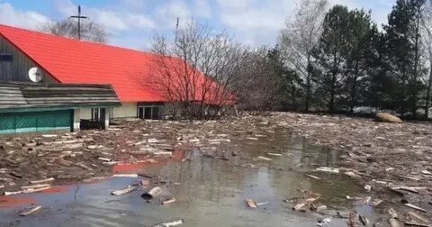 Источник https://news.mail.ru/society/70197912/ 