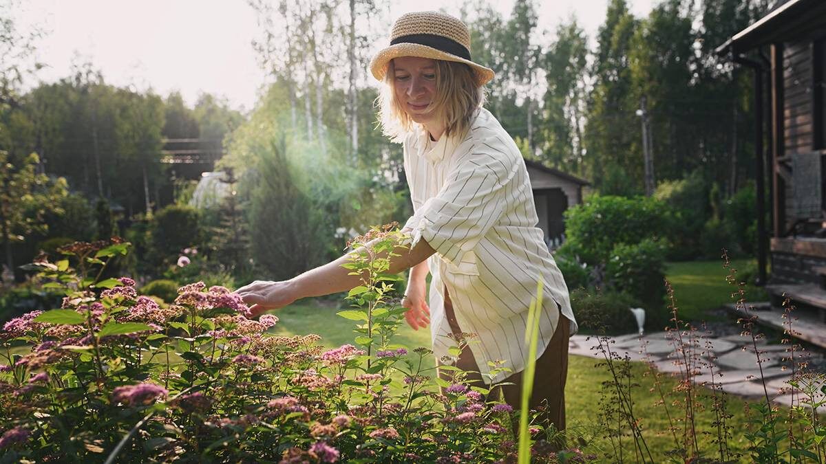    Фото: Shutterstock