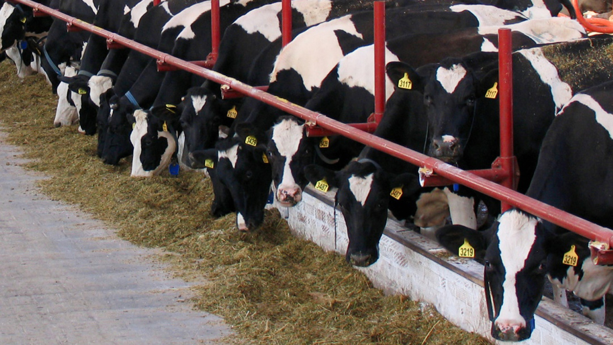   @irmenru / Вконтакте