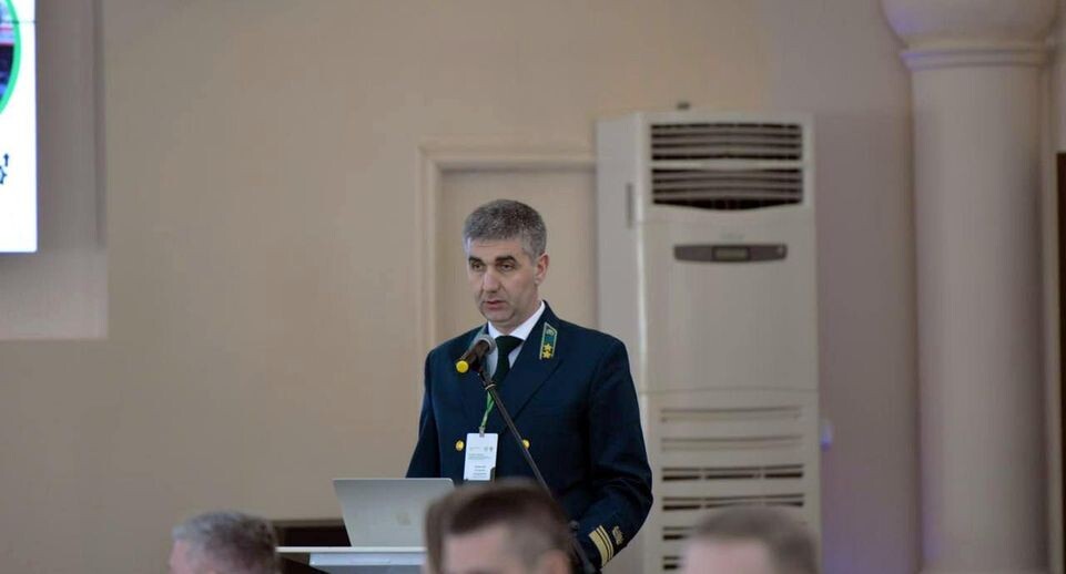    Комитет лесного хозяйства Московской области