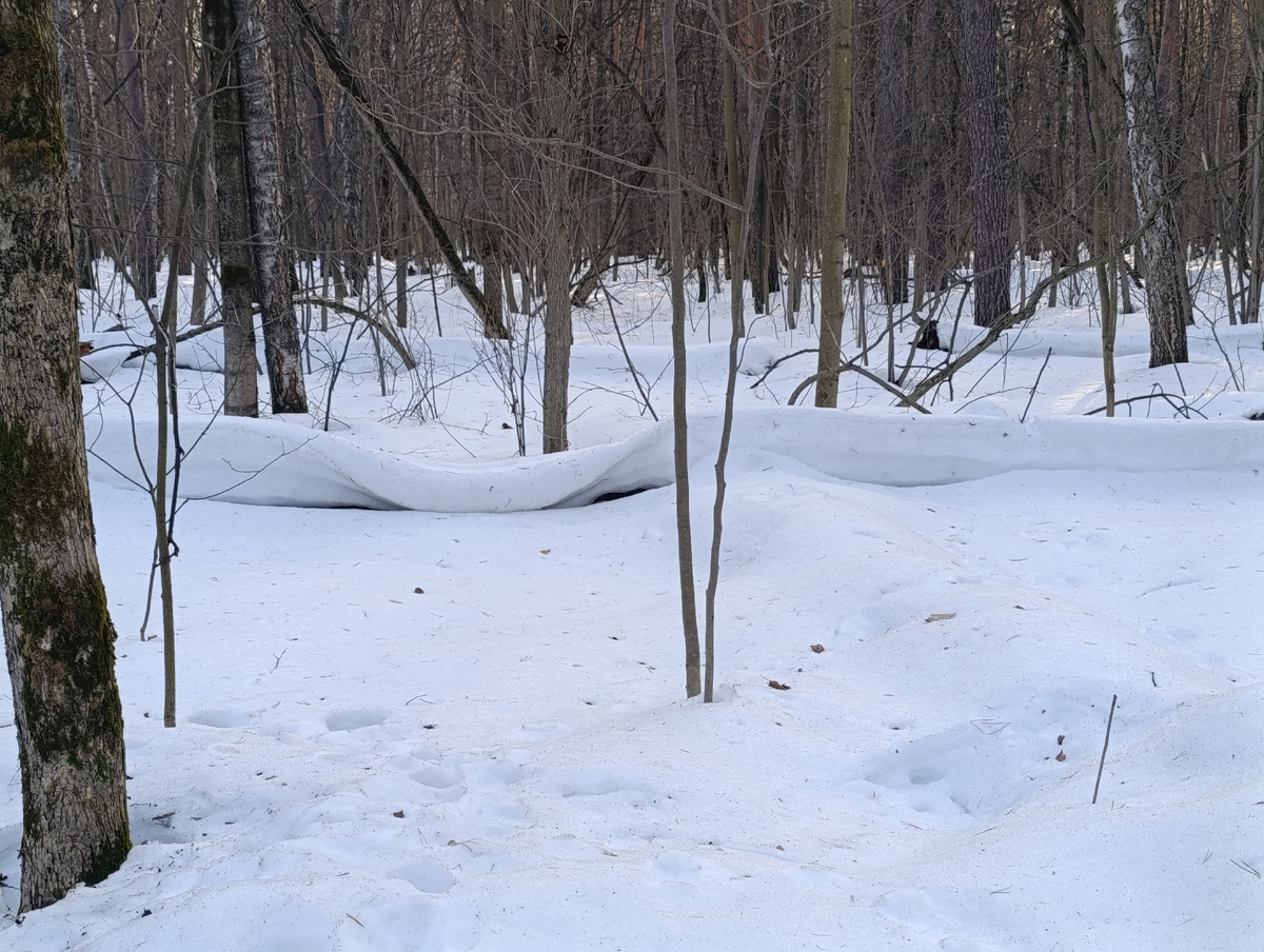 Снег завернулся как пастила