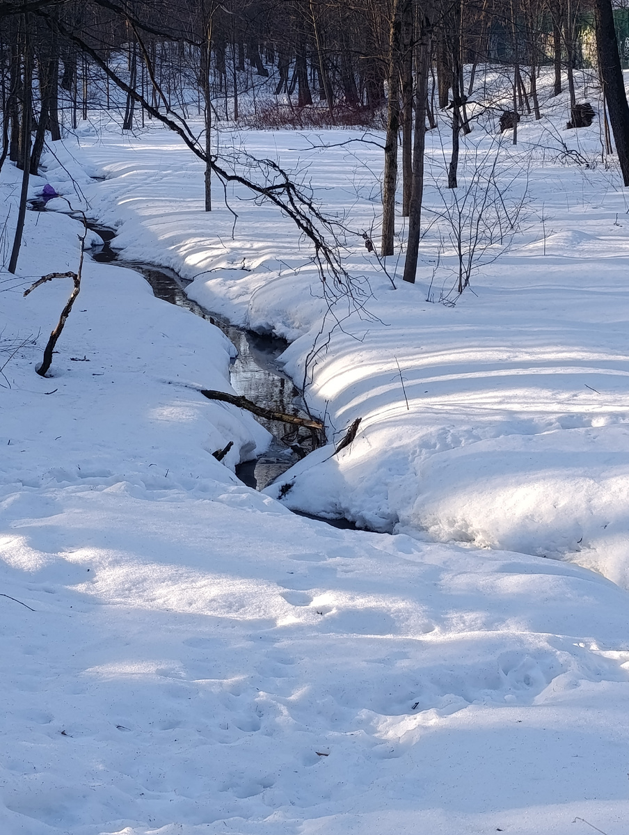 Зажурчали ручьи, можно запускать кораблики