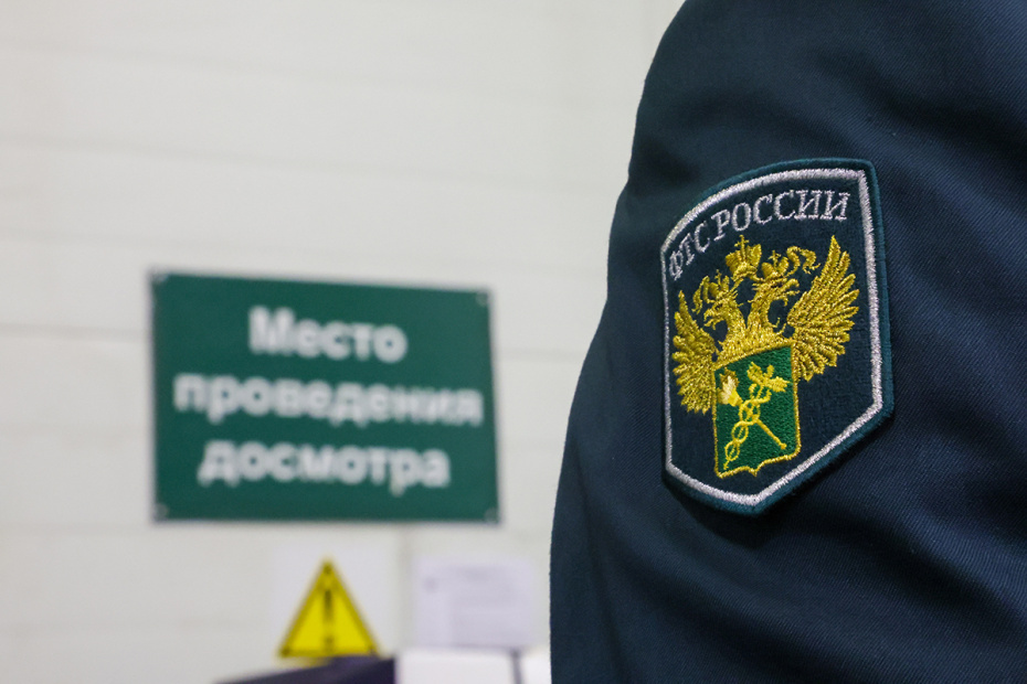    Алексей Белкин/NEWS.ru