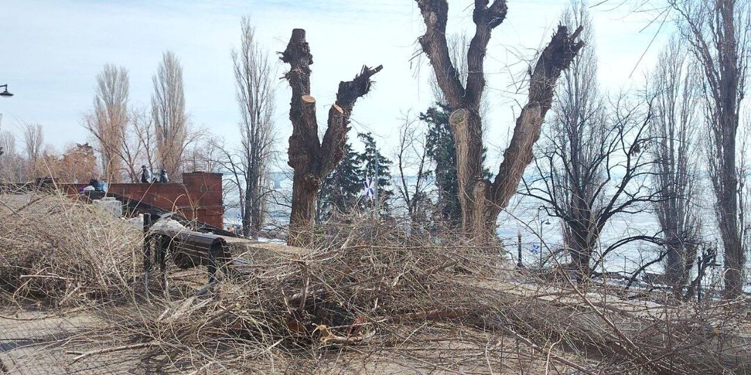 🪾На Набережной Космонавтов провели опиловку деревьев