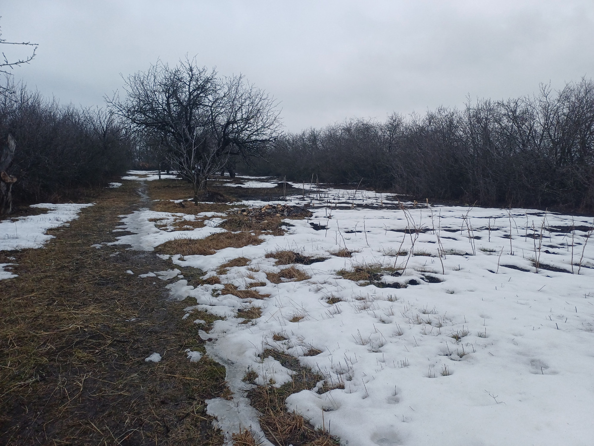 Будущий огород