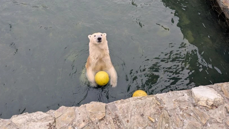    Ленинградский зоопарк